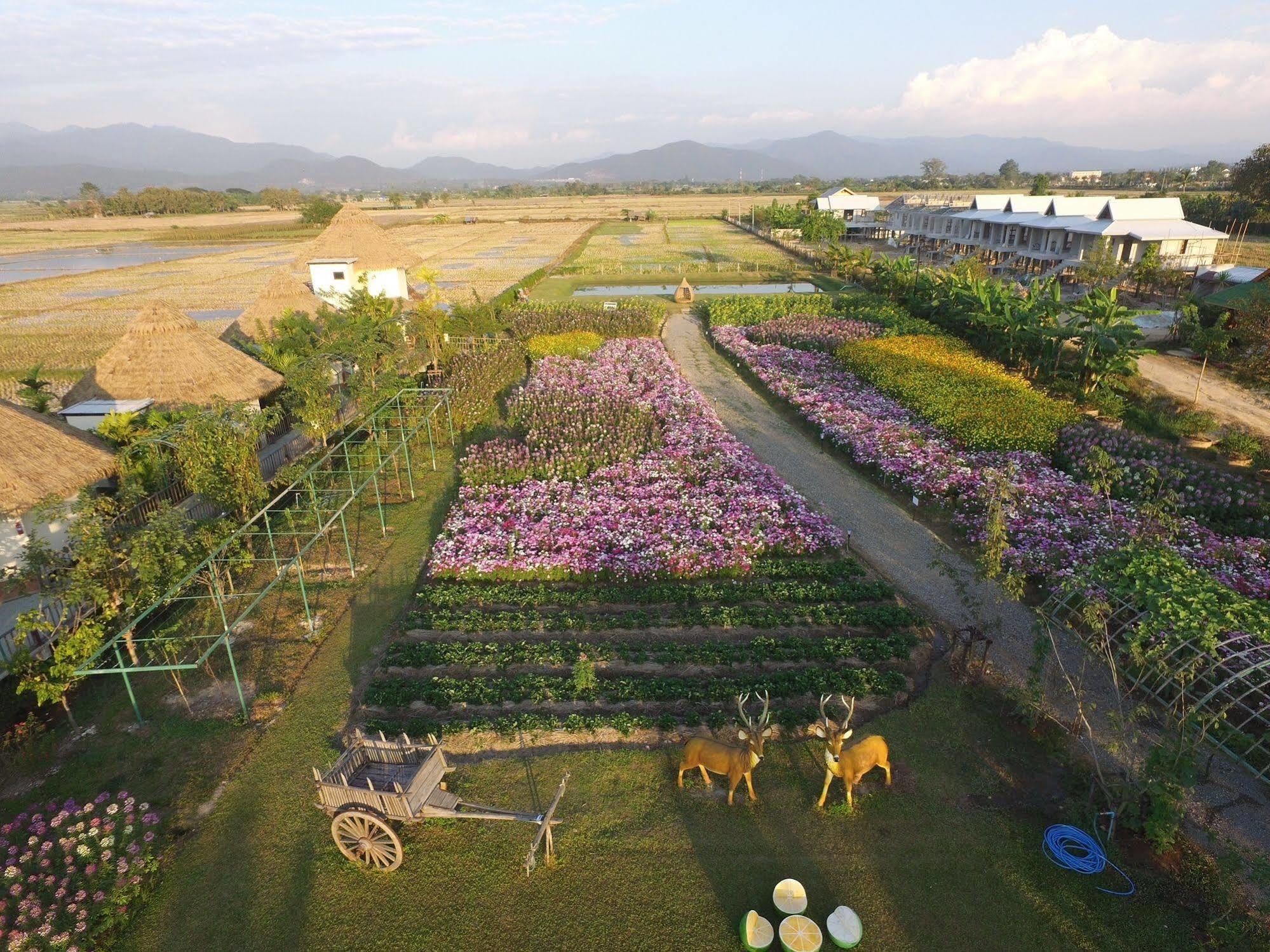 Phusanfah Resort Mae Taeng Eksteriør bilde